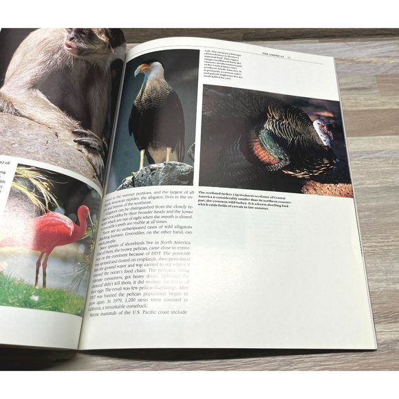 Vintage The San Diego Zoo Souvenir Book 1988 Animal Photographs - Picture 9 of 9